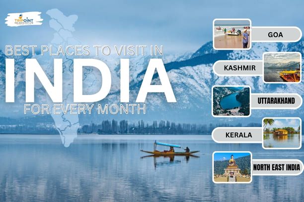 Best Places to Visit in India for Every Month