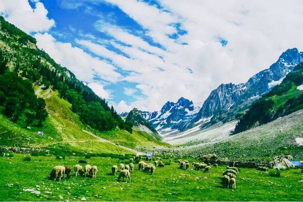 Beauty of Kashmir