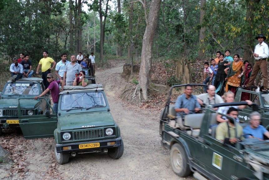 Jim Corbett Incentive Tour
