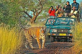 Weekend Trip - Ranthambore