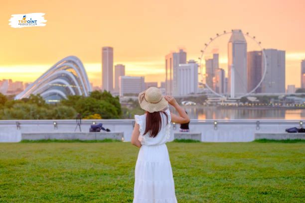 Why Indian Travellers Choose Singapore Trip from India